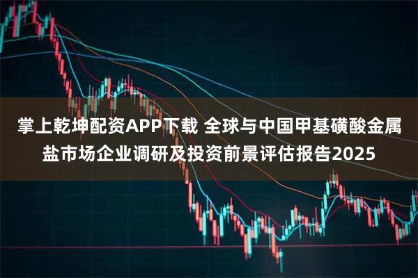 掌上乾坤配资APP下载 全球与中国甲基磺酸金属盐市场企业调研及投资前景评估报告2025