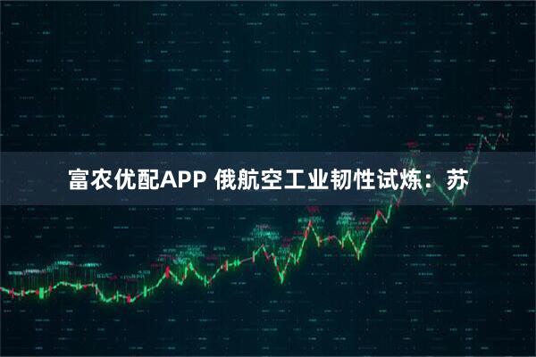 富农优配APP 俄航空工业韧性试炼：苏